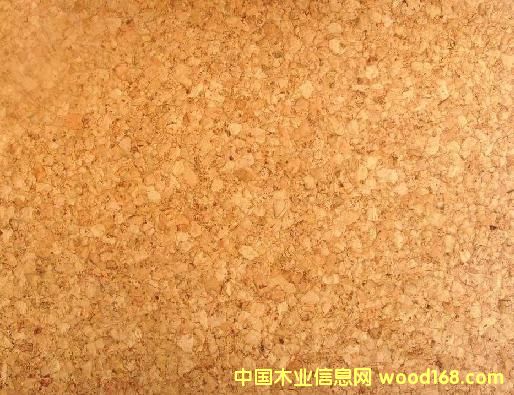 ����鿴Ψ����ľ�ذ�Ŵ�ͼƬ