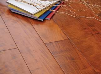 ɭ֮ľʵľȵذ--ƷӰϸ