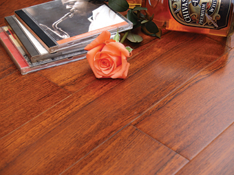 ɭ֮ľʵľȵذ-ƷֱƵϸ