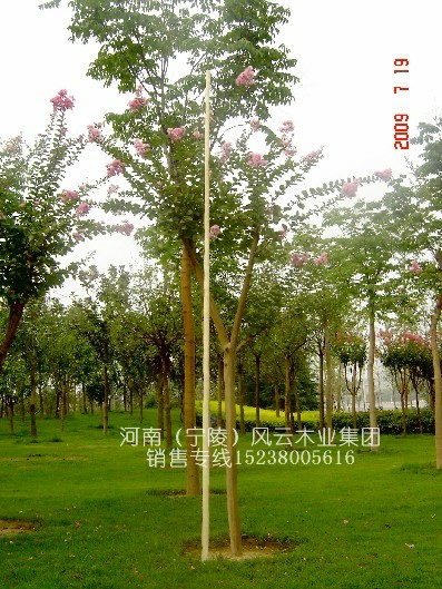 һƷ--ȫƤ̫ʮ˰˳4.5 