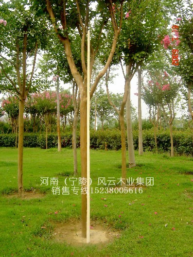 ӦƷ(1.6~2,ֱ2.8)5ϸ