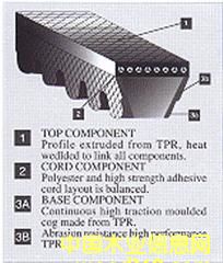 �������Ǵ���VECTORPOWER�������Ǵ����г����Ǵ�