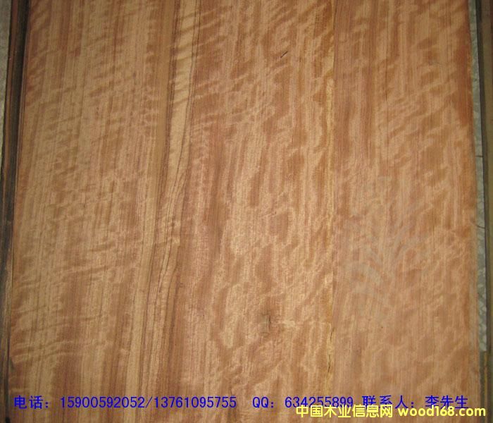 ����װ���²ġ�����˹ӰľƤ