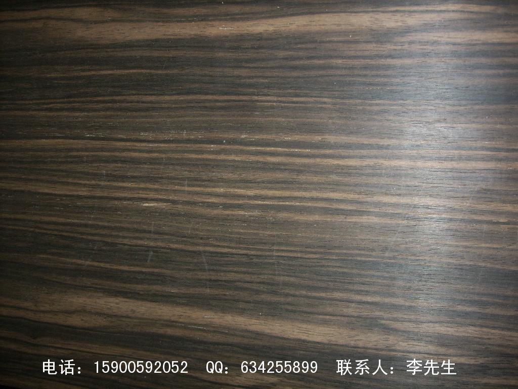 ľƤ��ľ����