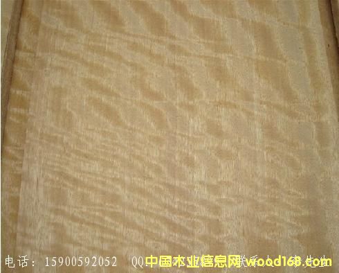 ����װ���²ġ�����ӰľƤ