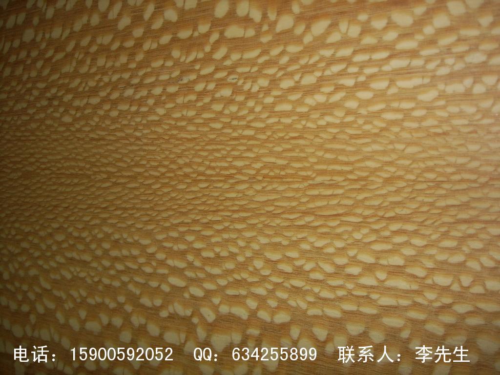 ľƤ��ľ����