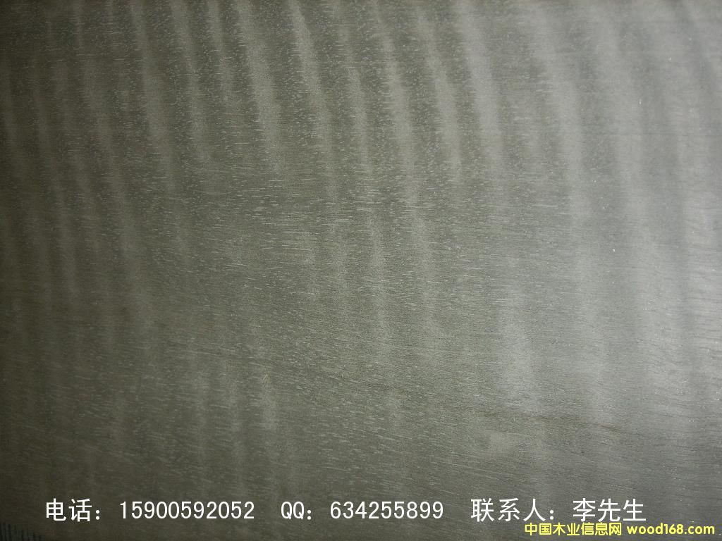 ľƤ��ľ����