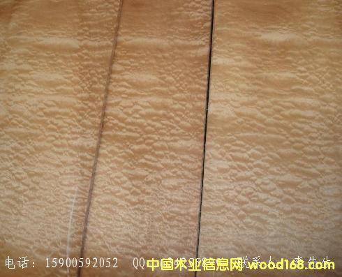 ����װ���²ġ���ľƤ