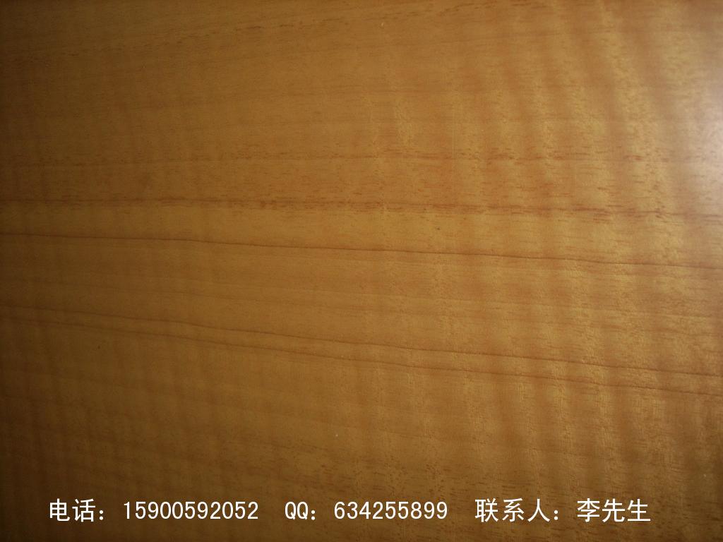 ľƤ��ľ����