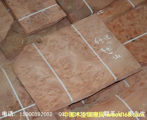 ����װ���²ġ�����ľ����ľƤ