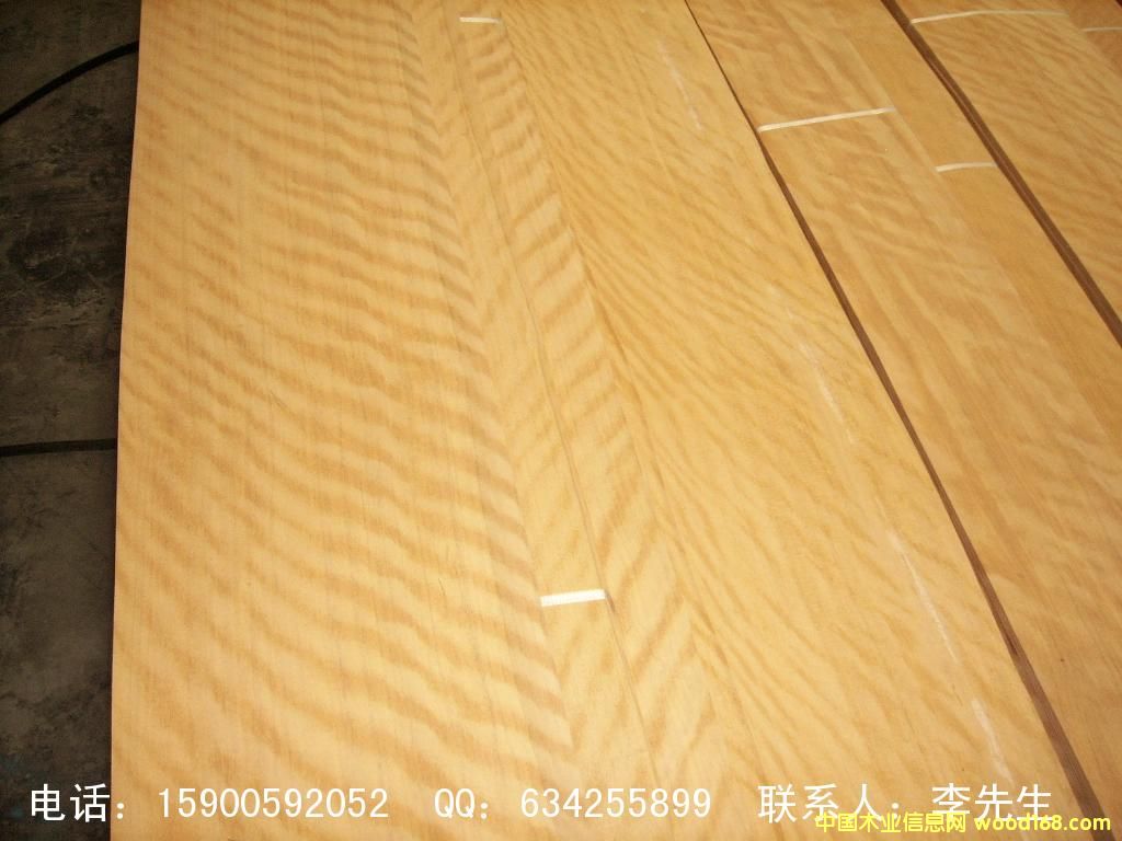 ����װ���²ġ����ƽ�ӰľľƤ