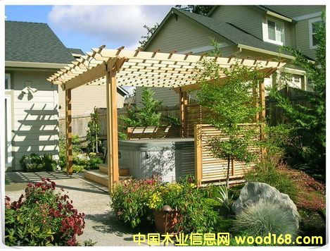 ���Ϸ���ľ����