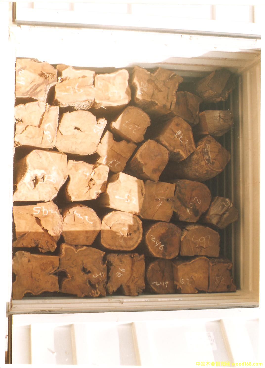 �����ǻ���