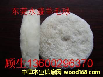 ��ʢ��˾��������ë��