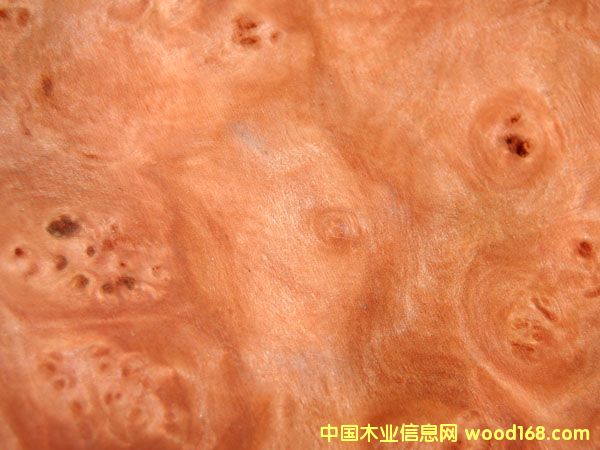 �컨������