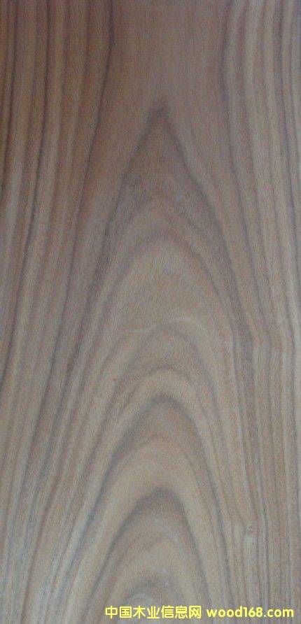 ������֦ɽ��