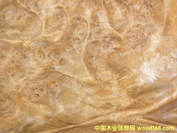 �ƻ�������