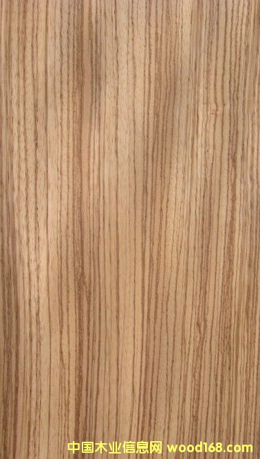 ����ֱ��