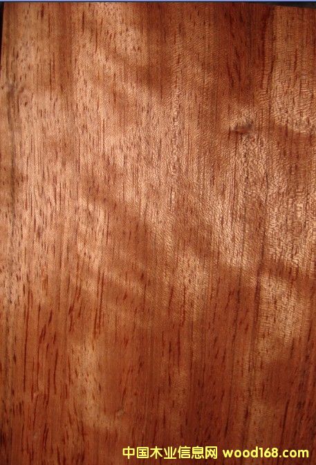 ���޺���