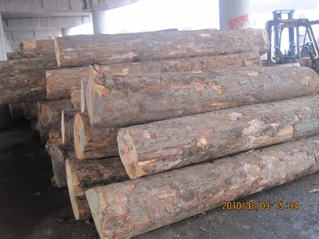 ��������ԭľ