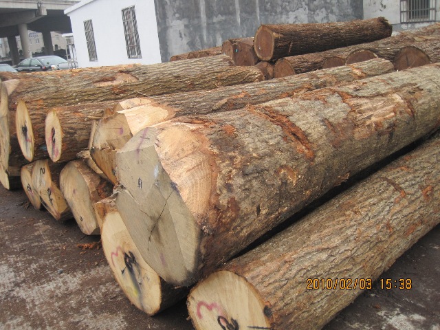 �������ԭľ