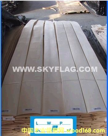 ľƤ���조ʮһ���Żݼ�