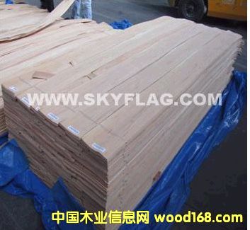 ����רӪ����ľƤ