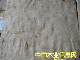 ����鿴��Ԫ������ϸ����