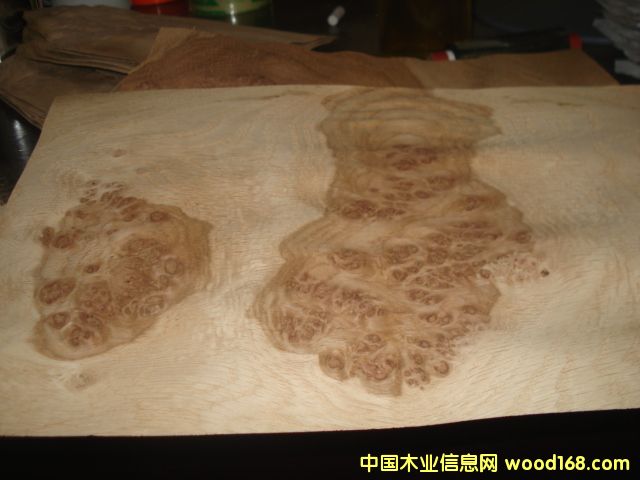 ����鿴����ľƤŨ�������ϸ����