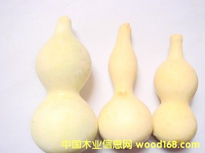 ľ����Ʒר��Ư�׼�