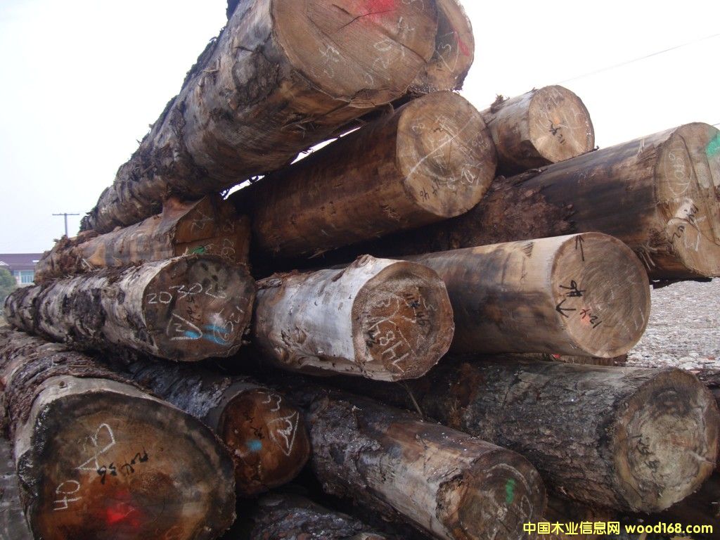 �����󾶽�����ɼ����ɼ