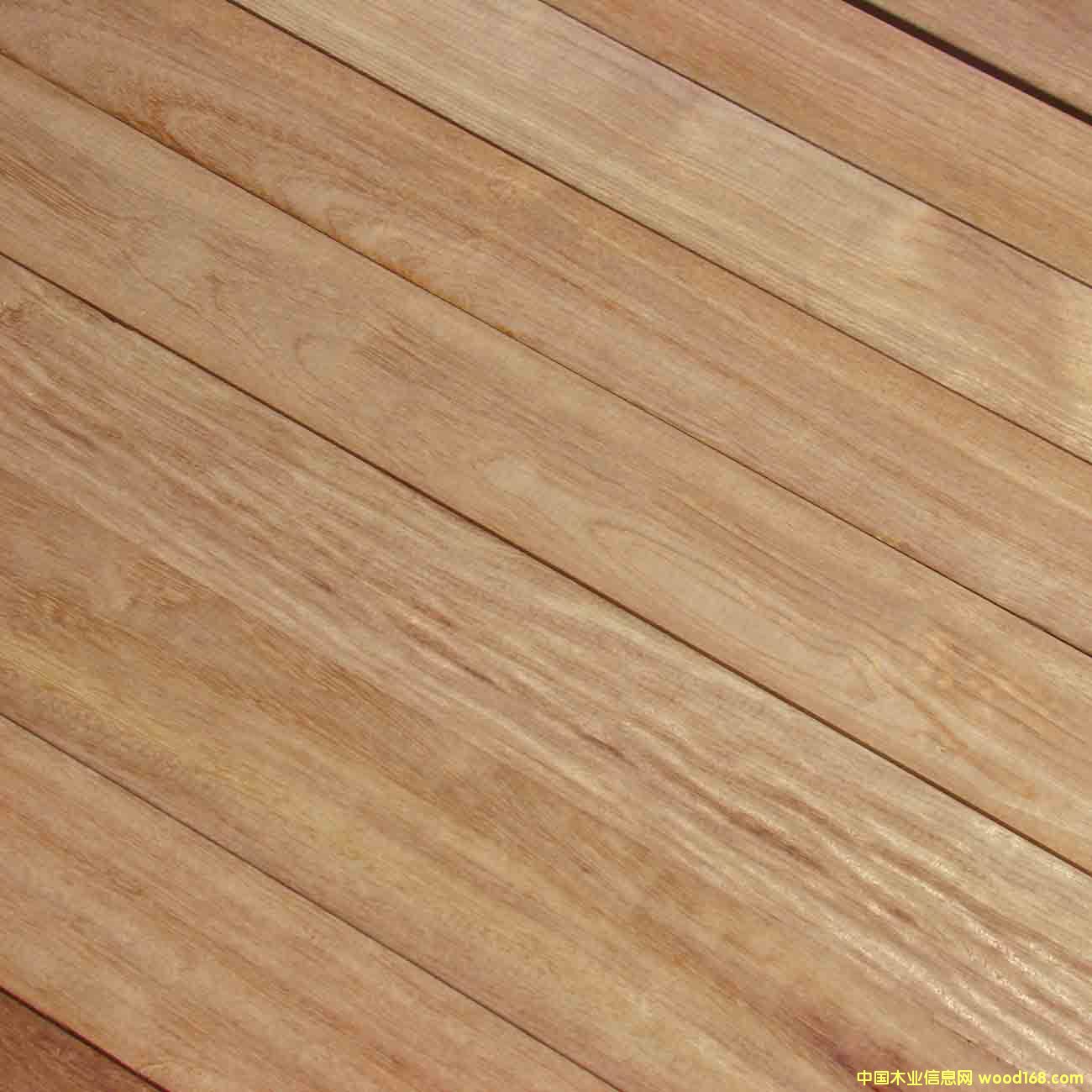 �𲻻��ذ�����