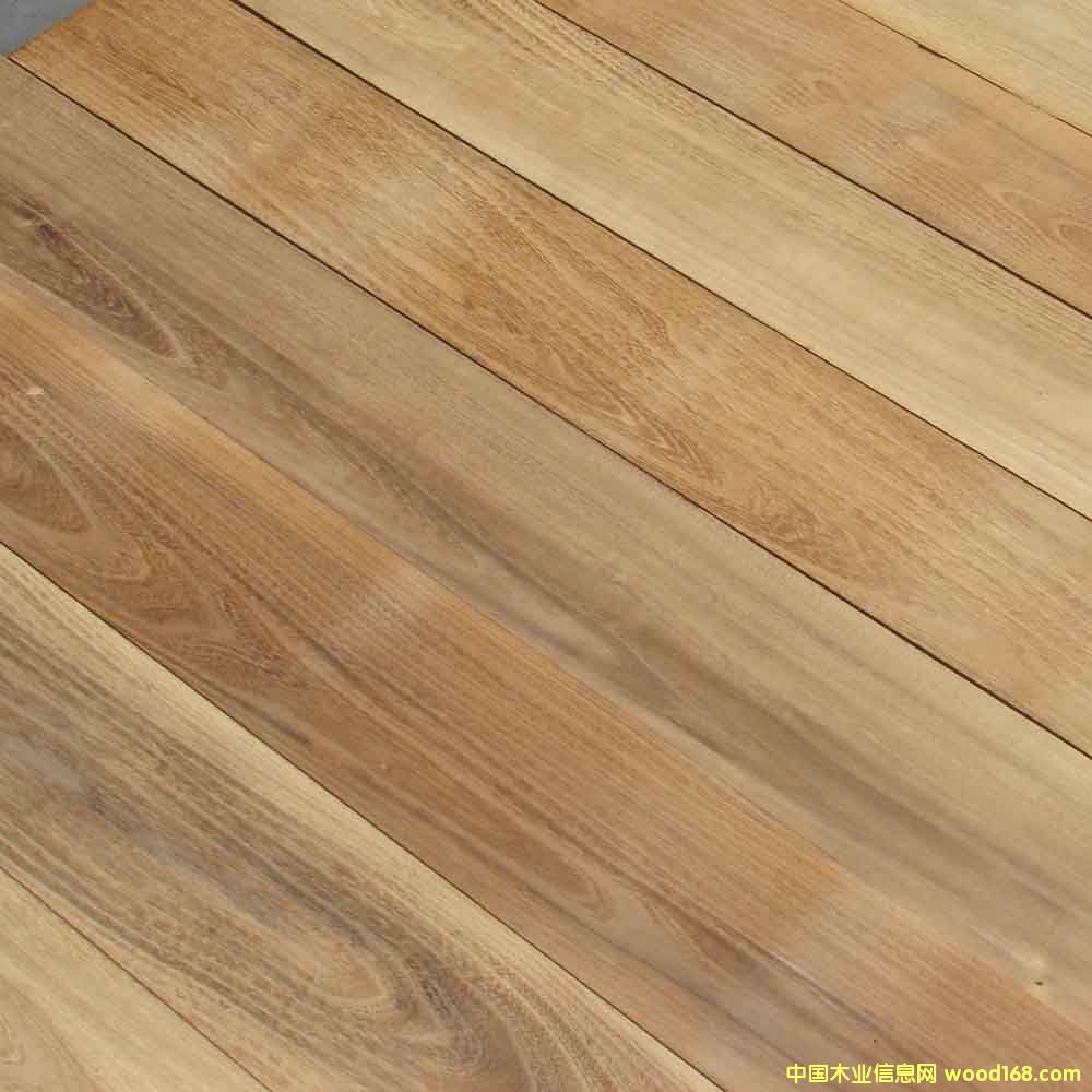 ����ֵذ�����