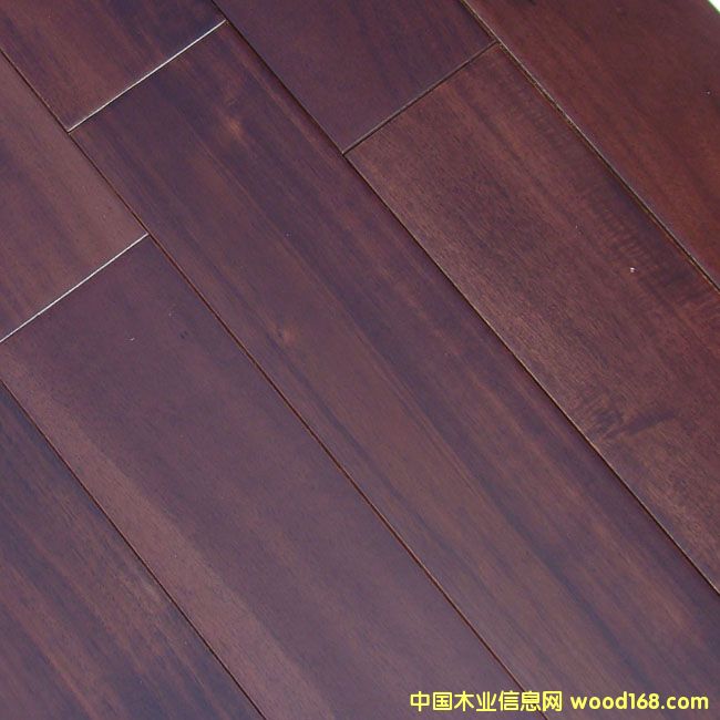 ���޺���ʵľ�ذ�2