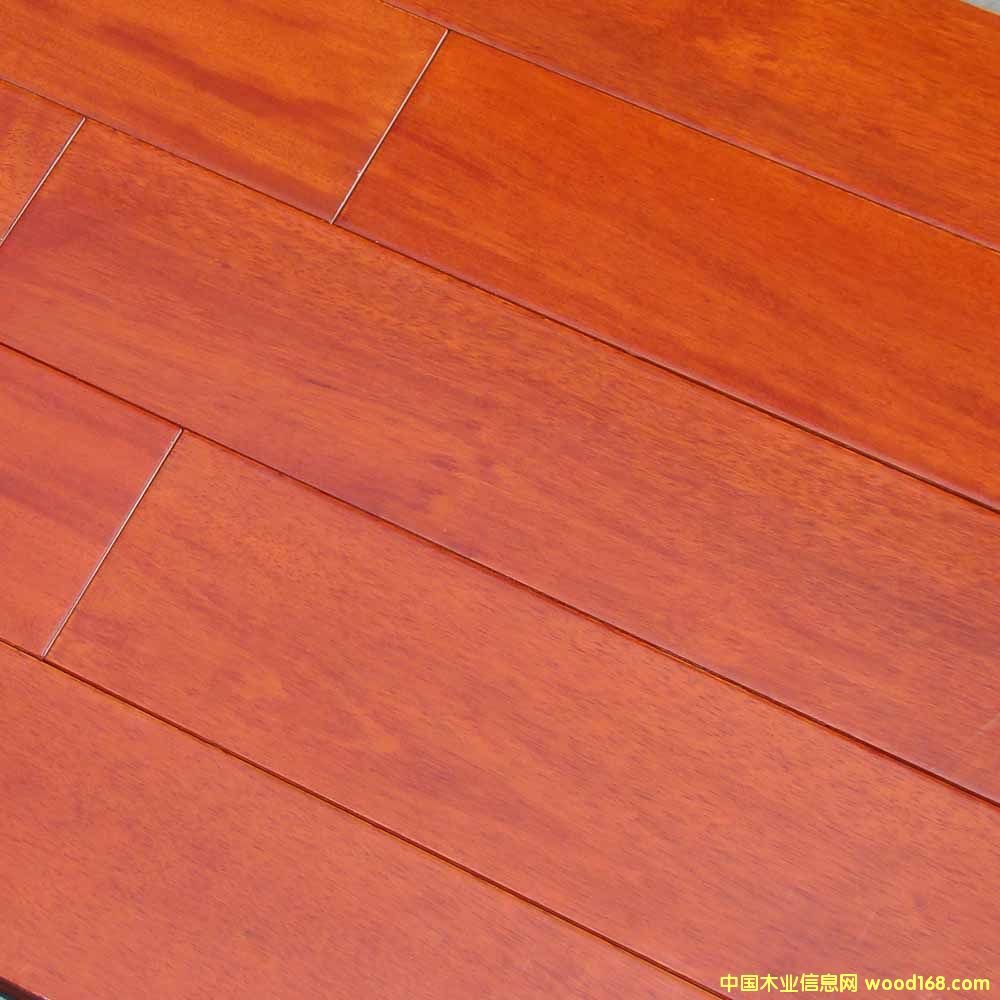 �һ�оʵľ�ذ�