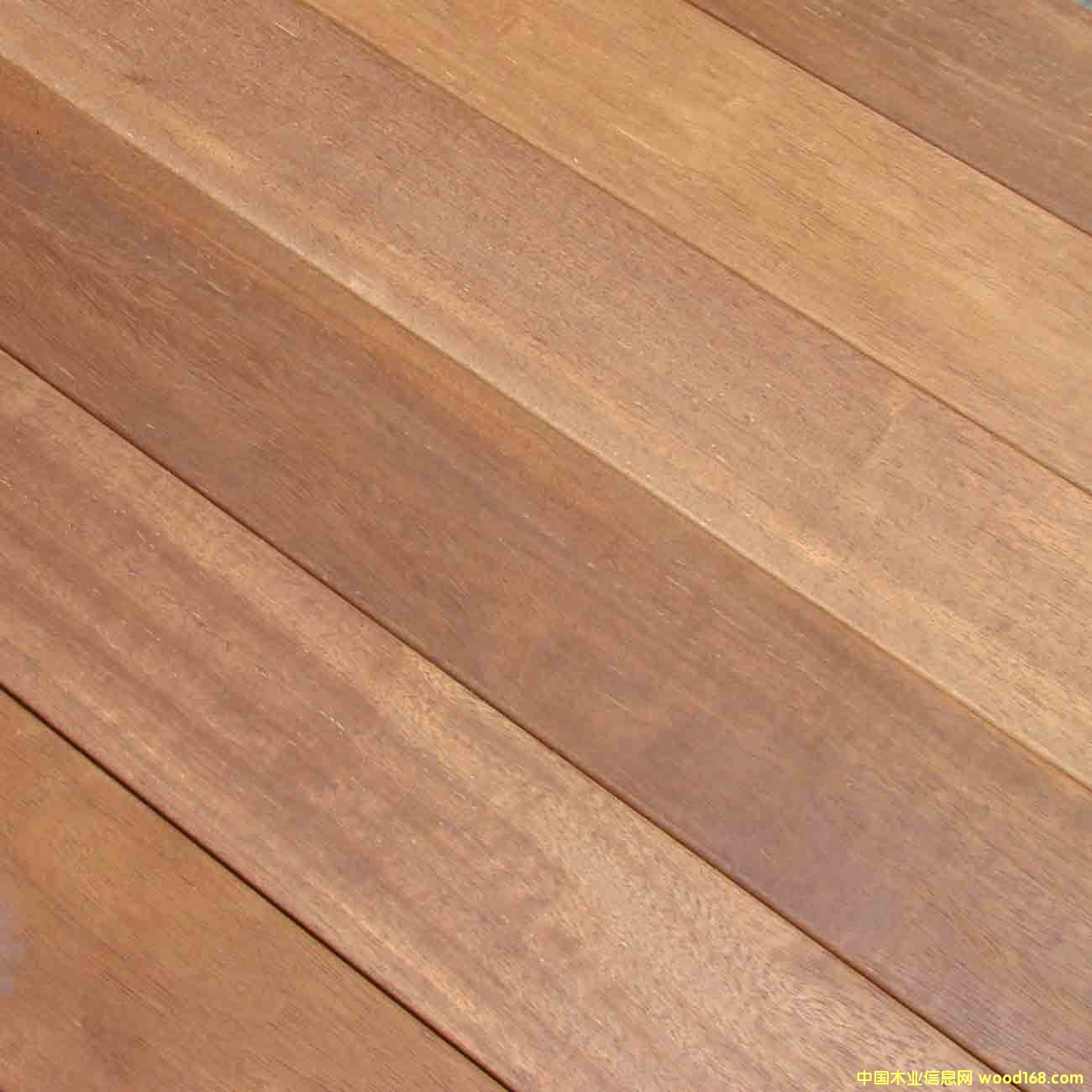 ���ܸ�ذ�����