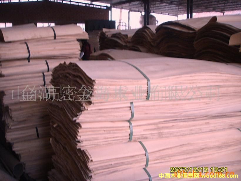 ����鿴��ľ��Ƥ�Ŵ�ͼƬ