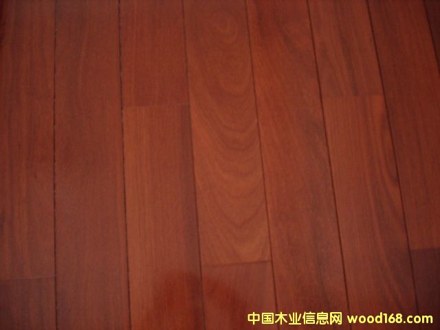 ľ�ذ��޲�����