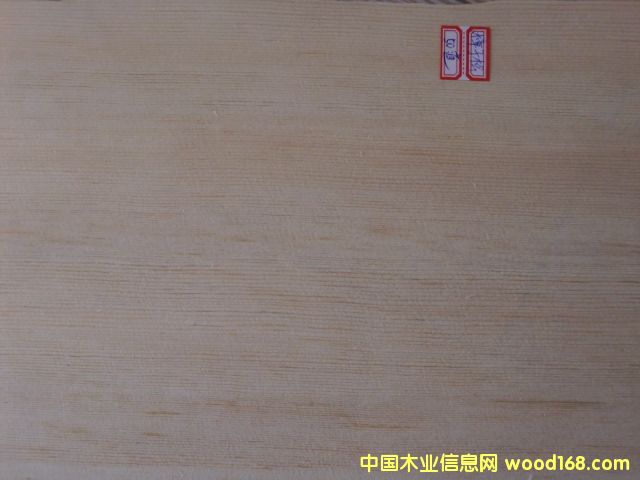 ������ָ��