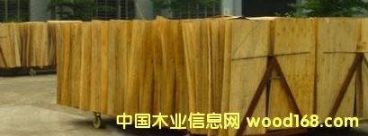 桉树单板的详细介绍