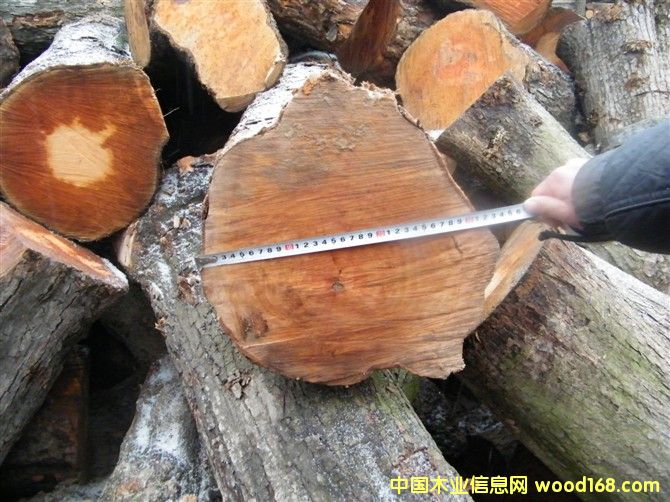 ��ľ���ĵ���ϸ����