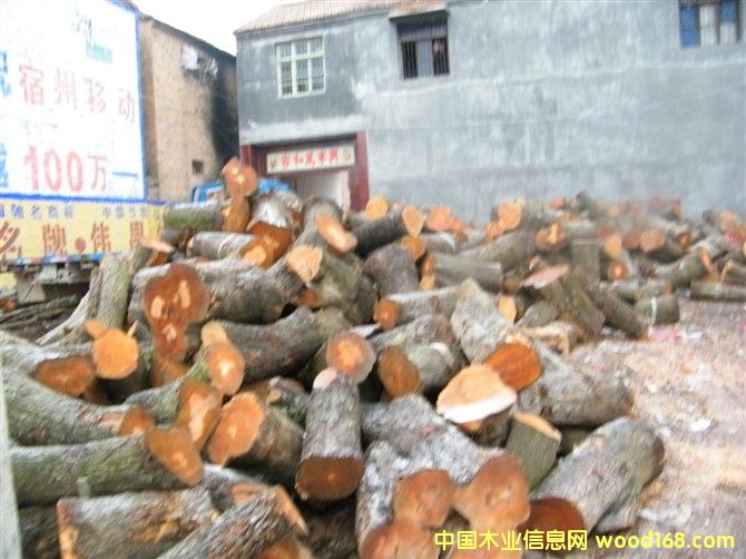 ��ľ����