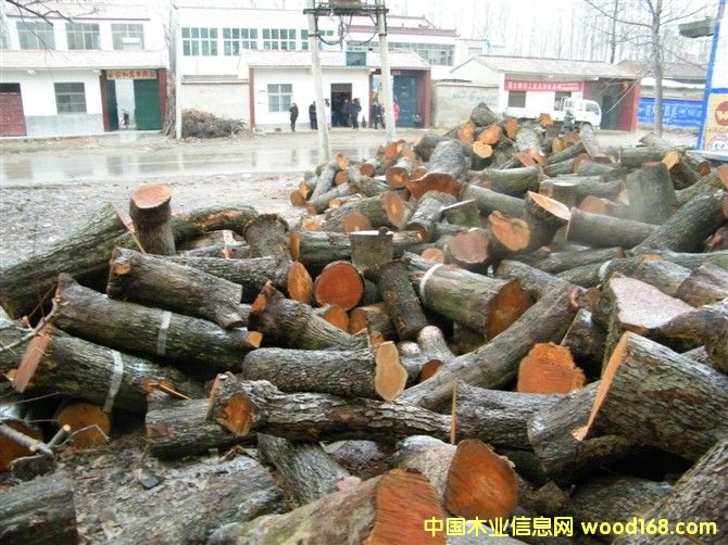 ��ľ����