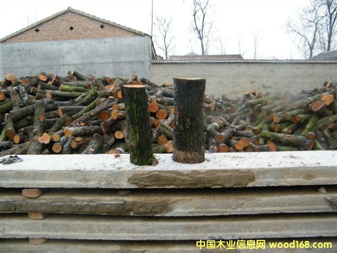 ��ľ���ĵ���ϸ����