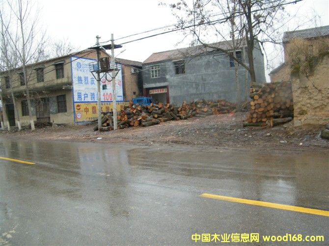 ��ľ����