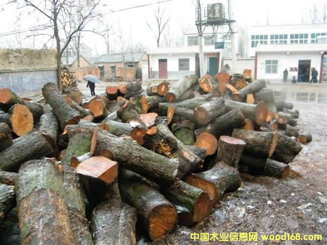 ��ľ����