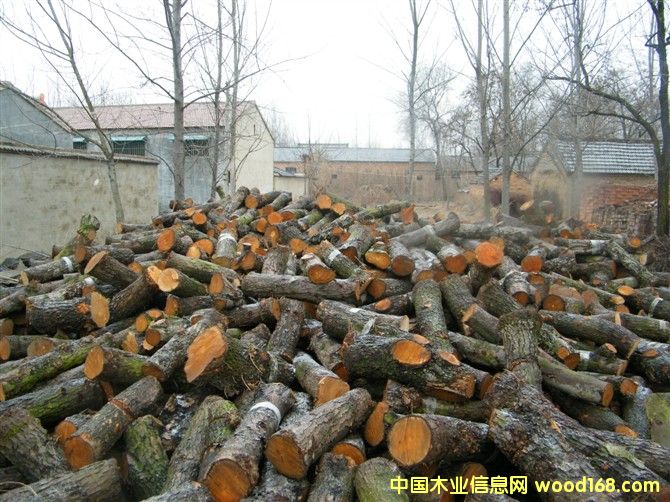 ��ľ���ĵ���ϸ����