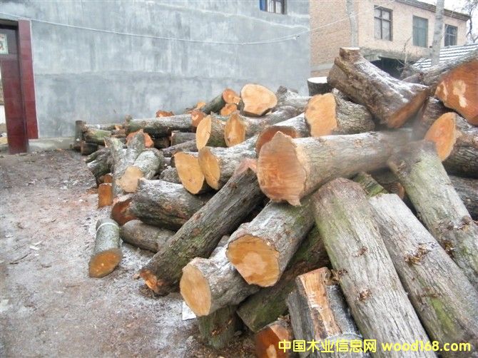 ��ľ���ĵ���ϸ����