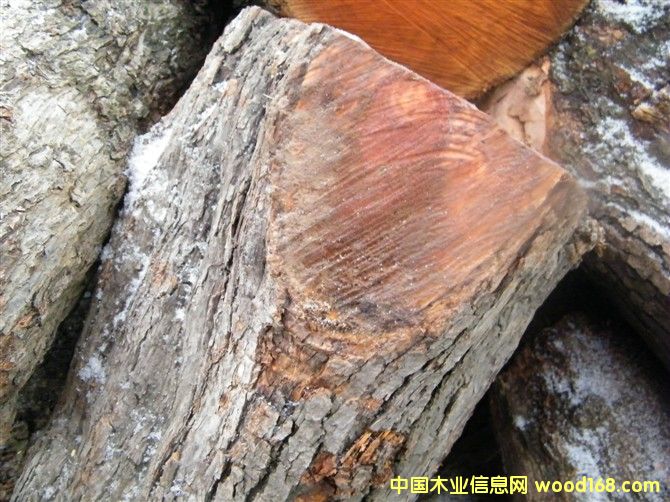 ��ľ���ĵ���ϸ����