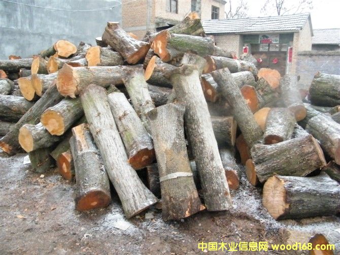 ��ľ���ĵ���ϸ����